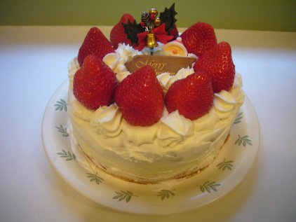 クリスマスケーキ2008.jpg